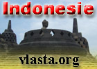 vlasta logo